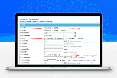 帝国CMS自定义伪静态插件{SEO栏目优化利器}